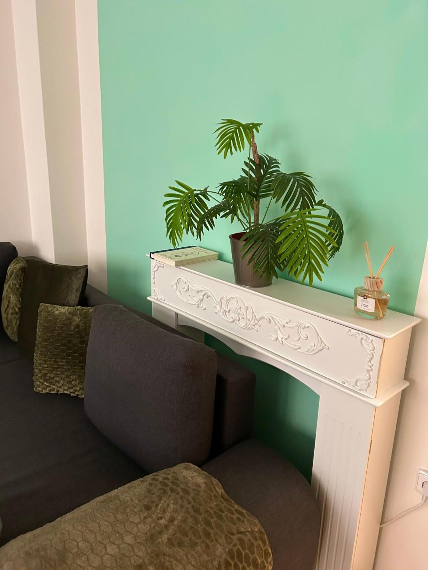 Sunny Flat In Center Of Appartement Praag